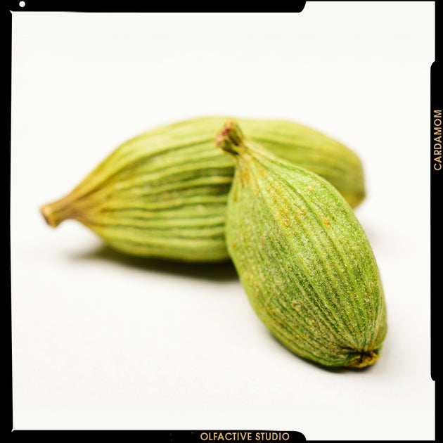 CARDAMOM, GUATEMALA’S GREEN GOLD Olfactive Studio