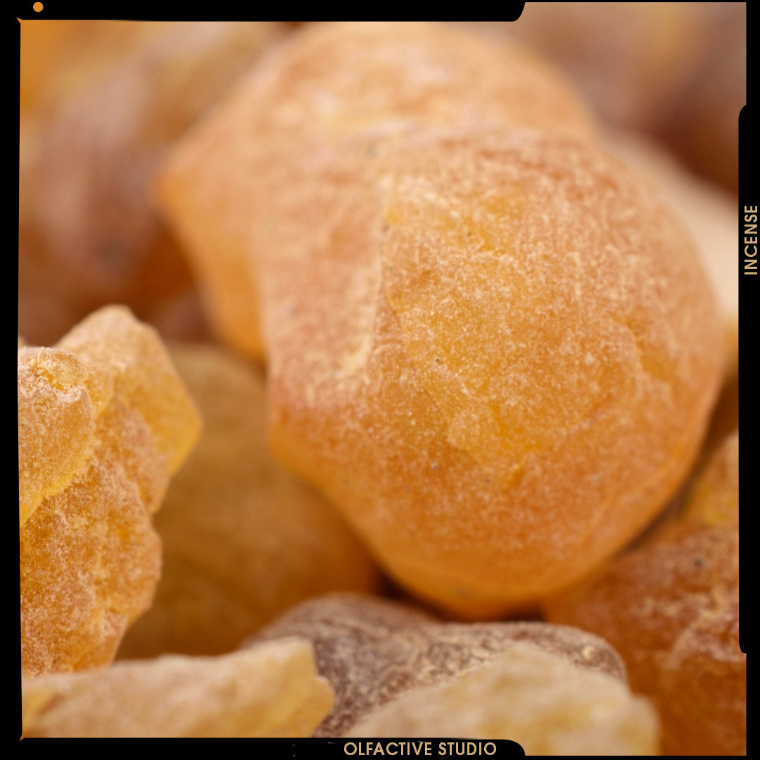 FRANKINCENSE, EAST AFRICA’S MILLENARY GEM — PT.1
