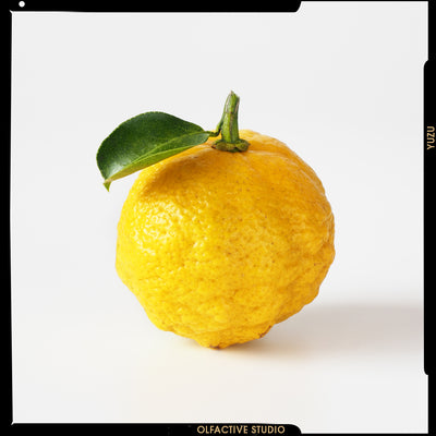 Yuzu, la scintillante esplosione di Still Life in Rio e Still Life!