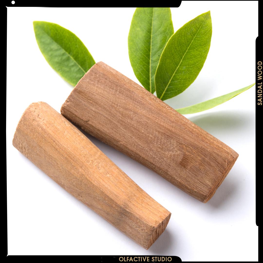 SANDALWOOD’S LEGACY: CENTURIES OF TREES