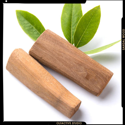 LE BOIS DE SANTAL, UN ARBRE DE LÉGENDE