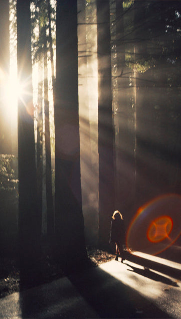 Olfactive Studio Perfumes