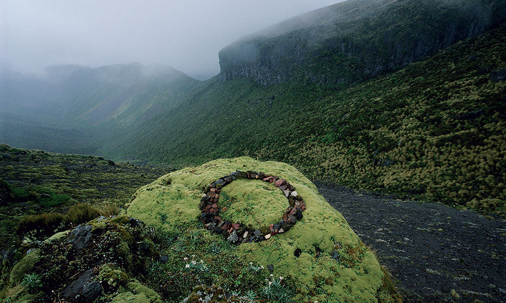 Olfactive Studio | Chypre Shot | Extrait de Parfum 15ml | Bergamot