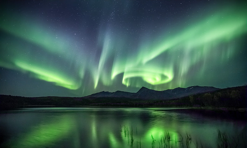 Dancing Light