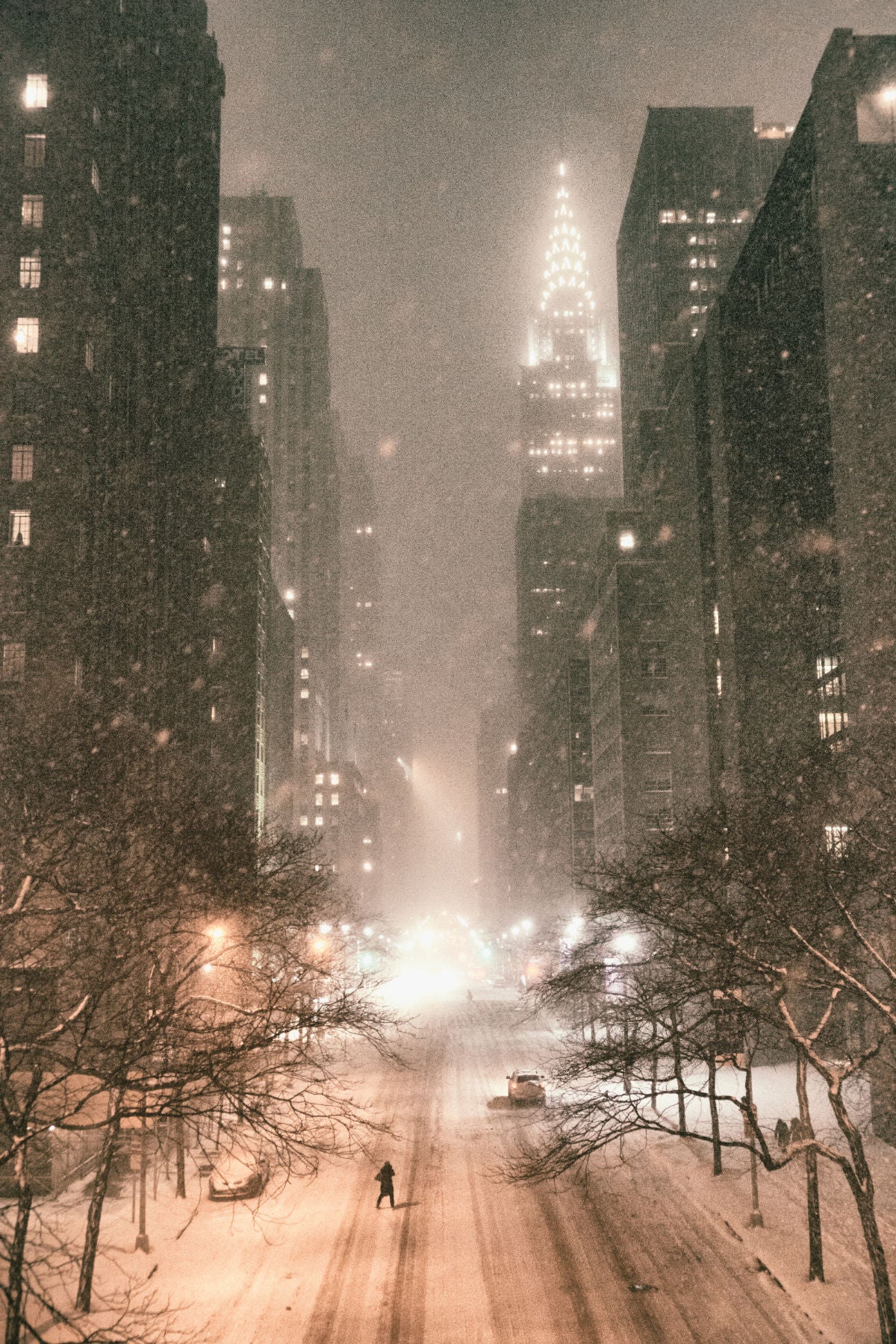 Flash Back in New York | Eau de Parfum 100ml | Muskatellersalbei | Leder | Geräucherte Birke