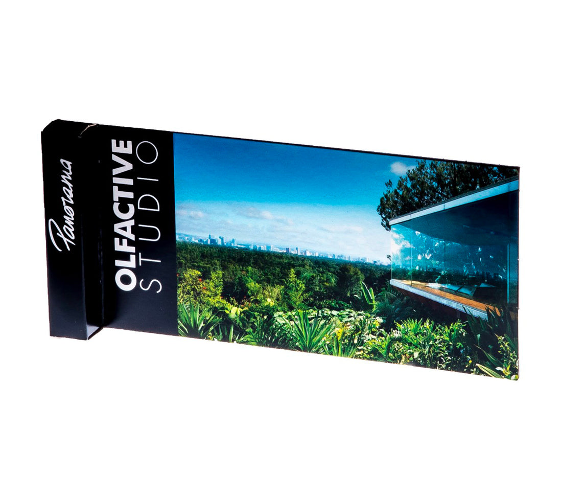 Panorama Campione 2ml